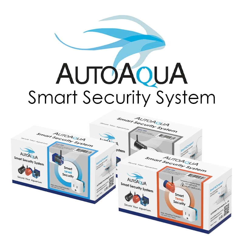 Smart Security ISO